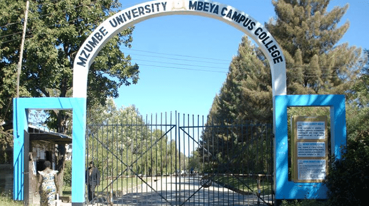 courses offered at mzumbe university 2020 2021