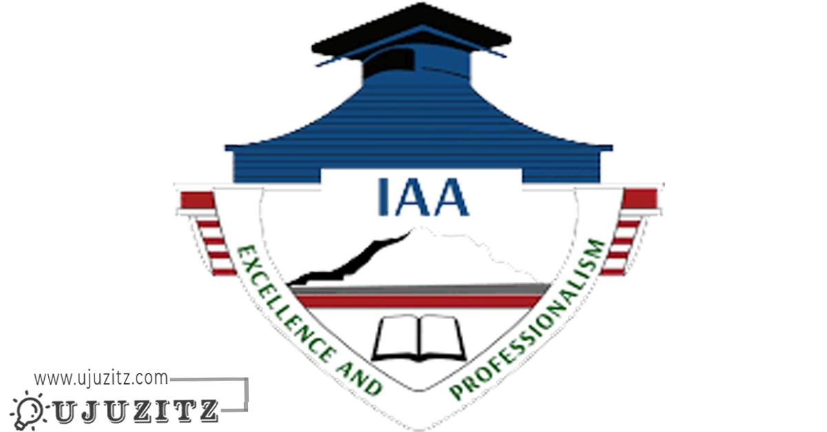 Rector Job Vacancy At Institute Of Accountancy Arusha IAA