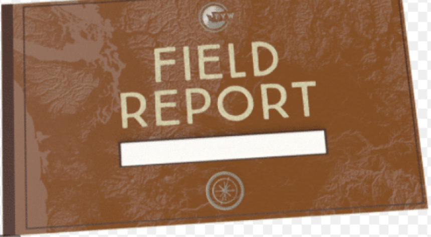 firld report