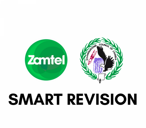 smart revision
