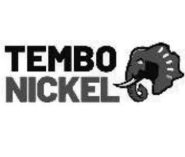 New IT Manager Job Vacancy At Tembo Nickel Corporation