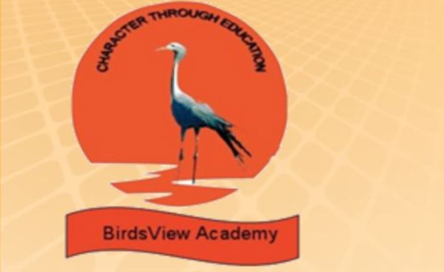 Birdsview Academy School Fees, Contact number, Subjects And More